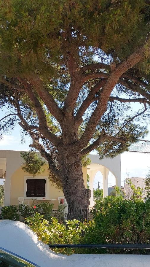 Villa Airport Friendly House 2 Artemida  Esterno foto